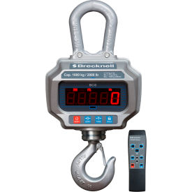 Electronic Crane Scale with Remote, 6000 lb Capacity x 2 lb Readability