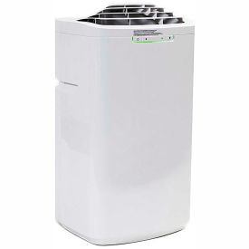 Eco-Friendly 11000 BTU Dual Hose Portable Air Conditioner - ARC-110WD