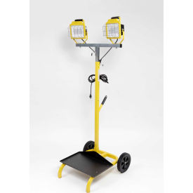 CEP 9842, 5500 Lumen LED Cart Light, Dual Head