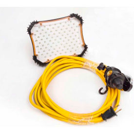 20' 18/2 SJTW LED Drop Light