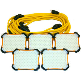 50' 18/2 SJTW LED String Light, 5 lights