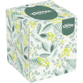 Naturals Facial Tissue, 2-Ply, White, 95 Tissues per Box, 36 Boxes per Case