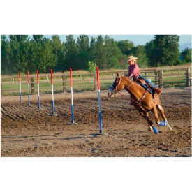 High Country Plastics Pole Bending Poles, Set of 6
