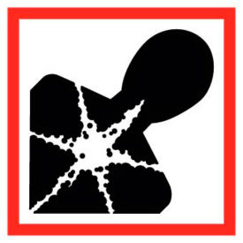 Health Hazard GHS Label, Vinyl, 2" x 2", 5/PACK
