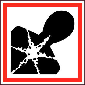Health Hazard GHS Label, Vinyl, 2" x 2", 250/ROLL