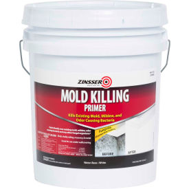 Mold Killing Primer, 5 Gallon Pail - 276088