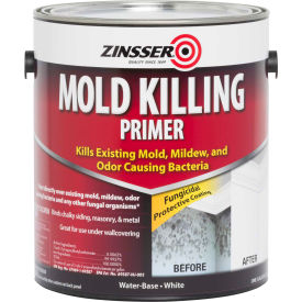 Mold Killing Primer, Gallon Can