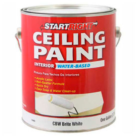 Start Right Ceiling Paint, Flat Finish, Brite White, Gallon