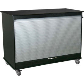 Black/Silver Medium Polyethylene Mobile Lab Cabinet, 48"W x 24"D x 35"H