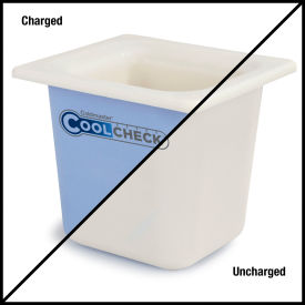 Coldmaster CoolCheck 6" D Sixth-Size Food Pan - White/Blue