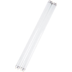 Replacement Ultraviolet Lamp for Insect Inn Ultra I & II, 12/Case