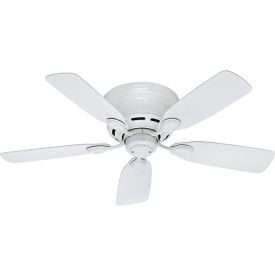 Low Profile IV 42" Indoor Ceiling Fan - White