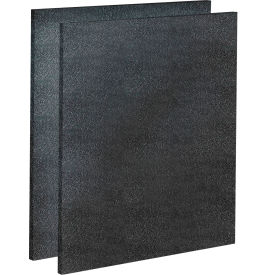 Carbon Filter, 12"W x 10"H x 1/4"D, 2 Pack
