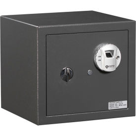 Biometric Burglary Safe With Biometric Lock, 14-1/8" x 13" x 12-7/8", Gray