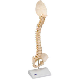 Pediatric Spine (BONElike)