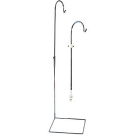Anatomical Model - Spinal Cord Stand, Multifunctional