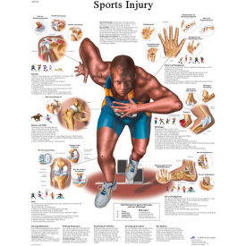 3B Anatomical Chart - Sports Injuries