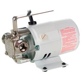 Non-Submersible Utility Pump - 12V DC w/Nickel Plated Brass Head