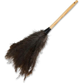 Feather Duster, 18", Brown
