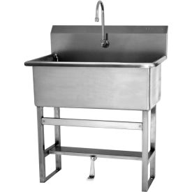 Floor Mount Scrub Sink With Single Foot Pedal Valve, Low-Flow 0.5 GPM