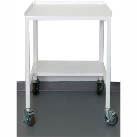 Fume Hood Mobile Stand with Locking Casters, 24"W x 28"D x 34"H