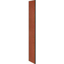 Side Panel for 18"D Extra Wide Designer Wood Locker without Sloping Hood Cherry