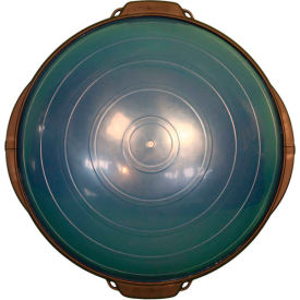 Core Training Dome with Pump and Resistance Cords, 21" Diameter, Blue