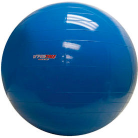 Molded Vinyl Inflatable Exercise Ball, 85 cm (34"), Blue