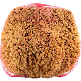 RollerLite Large Natural Sea Sponge, Beige, 12/Case