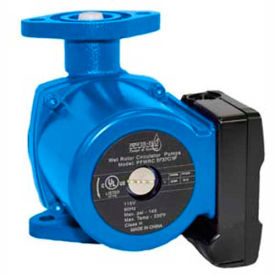 Power-Flo Circulator With Flanged Connection 25 Flange 115V Cast Iron