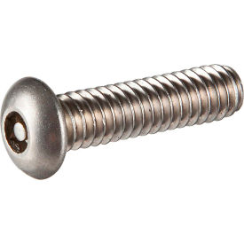 1/2-13 x 3-1/2" Security Cap Screw - Button Socket Head - 18-8 Stainless Steel - Pkg of 10