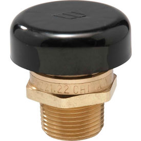 1/2" LF N36M1 Relief Valve