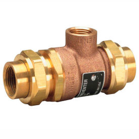 3/4" Watts 9DM2 Double Check Valve