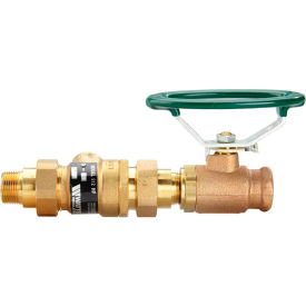 Watts 3/4" Vacuum Breaker