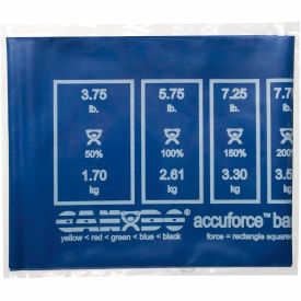 Blue Exercise Band, 48"L