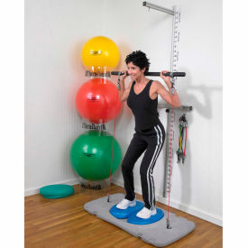 Professional Rehab and Wellness Station