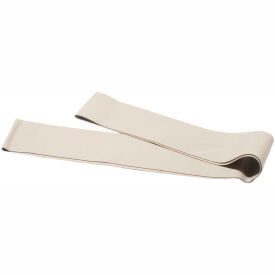 Exercise Band Loop, 30" Long, Silver