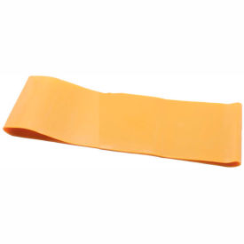Exercise Band Loop, 10" Long, Gold
