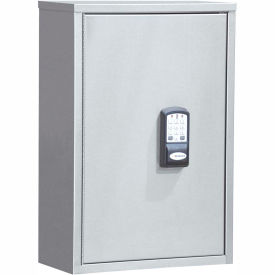 Deluxe Narcotic Cabinet with Audit Keypad and HID iClass Reader