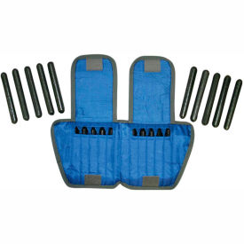 Adjustable Adult Ankle Weight, 10 lb., Blue