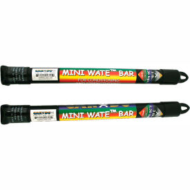 Mini WaTE Exercise Weight Bar, 3 lb., Black