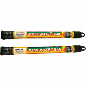 Mini WaTE Exercise Weight Bar, 1 lb., Yellow, 2 Each