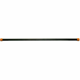 Jumbo WaTE Exercise Weight Bar, 25 lb., Gold