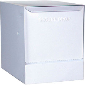 Thru-Wall Package Drop with Tilt-Out Door - White