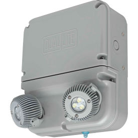 Dynamo Industrial LED Emergency Unit, Wet Rated, 6W LED Lamps