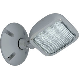 Outdoor Single Head Remote LED Fixture, Use w/ CU2W, Grey