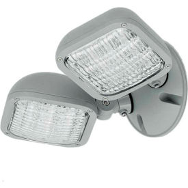 Hubbell CWRD Outdoor Dual Head Remote LED Fixture, Outdoor, Grey