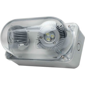 LED Remote- DYN Series, Dual Head, NEMA 4X/IP66, 3W LED Lamps