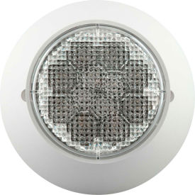 Hubbell CIRS Indoor Single Head Remote LED Fixture, 120-277V