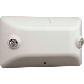 Compact White Emergency Lighting Unit, 1W LED Adjustable Heads